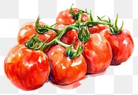 PNG Tomatoes busket vegetable plant food.