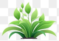 PNG Plant green herbs leaf.