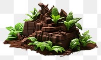 PNG Rainforest chocolate dessert plant.
