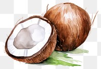 PNG Coconut plant food white background.