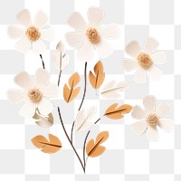 PNG White paper flowers pattern petal plant.