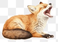 PNG  Fox yawn fox mammal animal. AI generated Image by rawpixel.