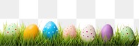 PNG Easter eggs in grass field white background celebration decoration.