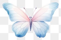 PNG Minimal butterfly animal petal fragility.