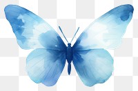 PNG Minimal butterfly insect invertebrate fragility.