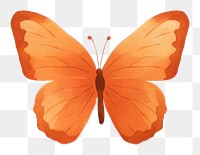 PNG Minimal butterfly animal insect petal.
