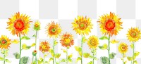 PNG Sunflowers backgrounds nature plant.