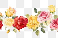 PNG Roses pattern flower nature.