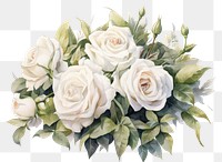PNG  White rose bouquet painting flower plant. AI generated Image by rawpixel.