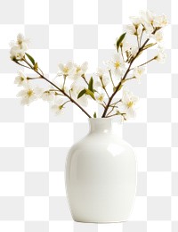 PNG  Flower vase porcelain blossom plant. AI generated Image by rawpixel.