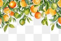 PNG  Citrus border grapefruit lemon plant.