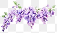 PNG Blossom flower lilac plant