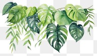 PNG Plant leaf backgrounds pattern.