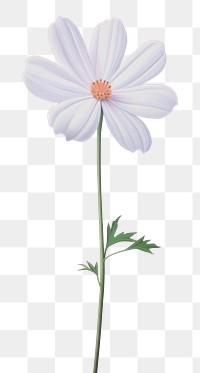 PNG Minimal space spring flower petal plant daisy.