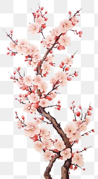 PNG Cherry blossom flower cherry plant wall. AI generated Image by rawpixel.