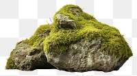 PNG A rock covered by green moss nature plant white background. AI generated Image by rawpixel.