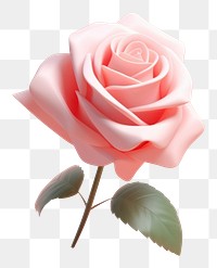 PNG 3d render icon of rose flower plant inflorescence.
