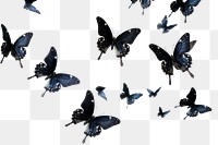 PNG Black butterflies flying butterfly animal.