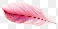 PNG Pink feathers red white background lightweight.