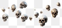 PNG Skulls white background anthropology spooky.