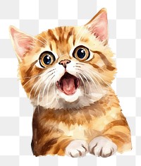 PNG  Cat surprised face expression animal mammal kitten.