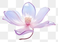 PNG Blossom flower petal plant.