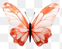 PNG  Butterfly side view animal insect white background.