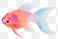 PNG Fish fish goldfish animal.