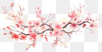 PNG  Chinese cherry blossom flower plant white background.