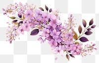 PNG  Chinese lilac blossom flower plant