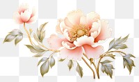 PNG  Chinese peony blossom pattern flower