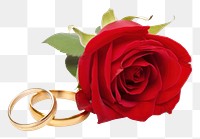 PNG Rings rose jewelry wedding.
