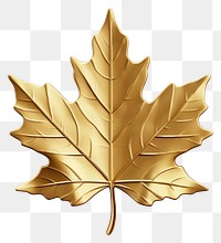 PNG  Maple leaf plant gold tree.