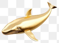 PNG  Whale animal mammal shark.