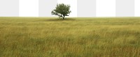 PNG  Empty scene of meadow landscape grassland outdoors.
