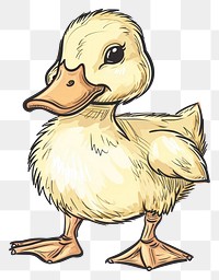 PNG Goose bird duck anseriformes.