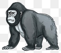 PNG Wildlife gorilla mammal ape.