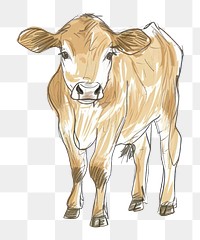 PNG Livestock mammal cattle calf.