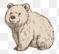 PNG Drawing mammal sketch bear.