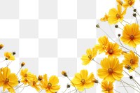PNG  Yellow flowers backgrounds outdoors nature.