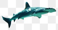PNG Underwater photo of hammerhead shark animal outdoors aquatic.