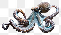 PNG Underwater photo of octopus animal marine invertebrate