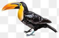 PNG Toucan animal beak bird.