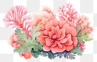 PNG Cute pastel coral pattern flower dahlia.