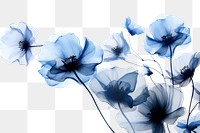 PNG Ink blue flowers petal plant white. AI generated Image by rawpixel.