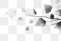 PNG Ink leaves backgrounds plant petal. AI generated Image by rawpixel.