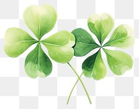 PNG  4 clover leaf plant white background freshness. AI generated Image by rawpixel.