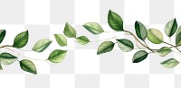 PNG  Leaf frame plant white background gardenia