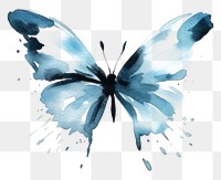 PNG Butterfly butterfly animal insect