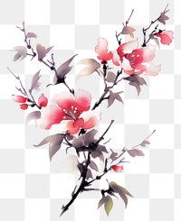 PNG Rosa chinensis blossom flower plant. AI generated Image by rawpixel.